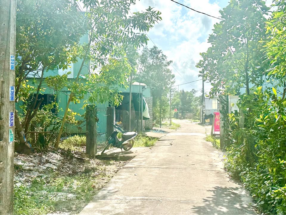 Đất nền An Phú Tam Kỳ 250m² - Sổ đỏ sẵn sàng, giá đầu tư tốt