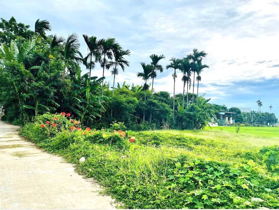 Đất Nền Điện Minh, Quảng Nam - 125m² Sổ Đỏ, Giá 499 Triệu