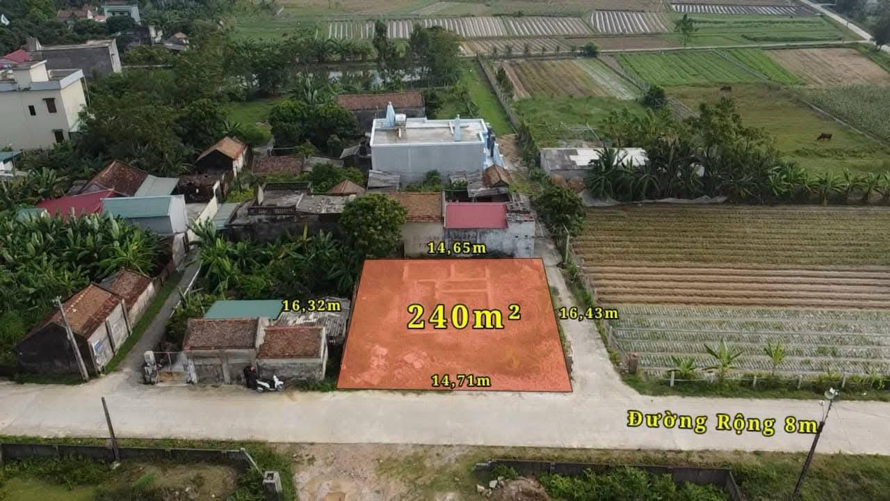 Đất Nền Phú Lộc, Hậu Lộc 240m² - Sổ Đỏ Sẵn Sàng, Giá Đầu Tư 1.4 Tỷ