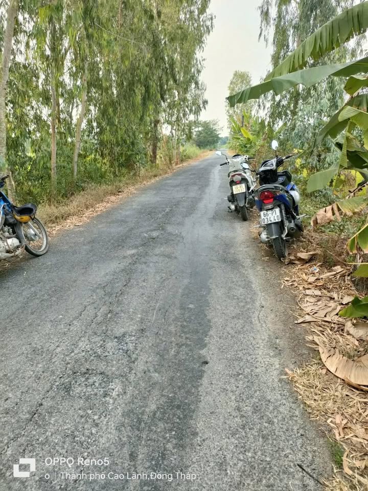 Đất nền 1744m² mặt tiền Lê Thị Phụng, Cao Lãnh - Tiềm năng tăng giá!