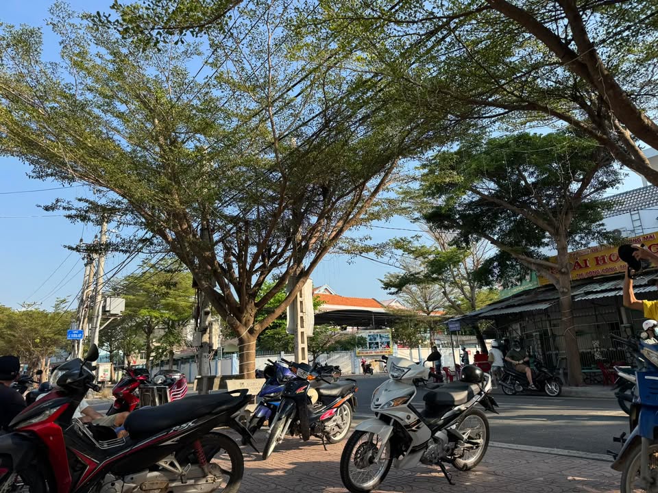 Đất Nền Trung Tâm Diên Khánh - 95m² Mặt Tiền Kinh Doanh - 3 Tỷ