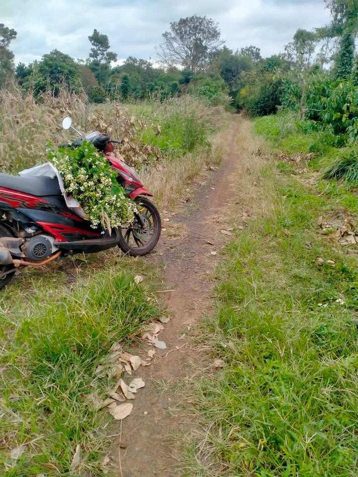 Đất nền góc 2MT Đường Chi Lăng, Khánh Xuân, BMT - 500m² Giá 450 Triệu