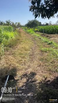 Bán Đất Vườn 700m² Đắk Lắk Giá 399 Triệu - Sẵn Sàng Xây Nhà Ở!