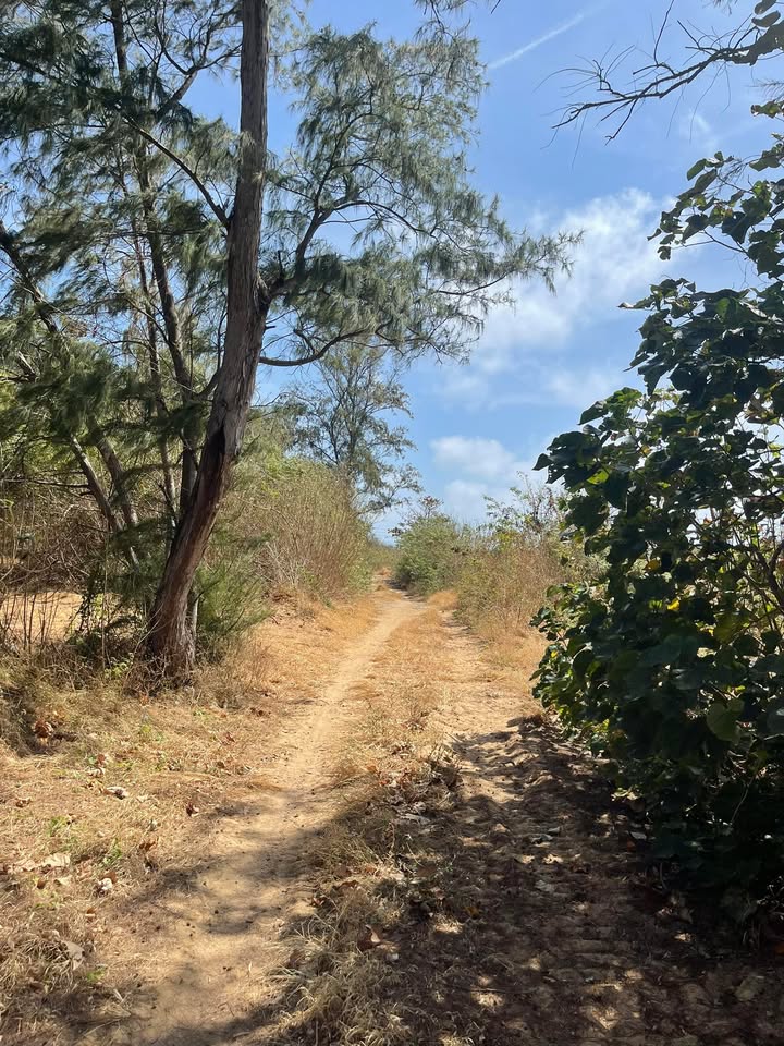 Bán Đất Nền Bảo Lộc 750m² Giá Chỉ 500 Triệu - Sổ Đỏ Sẵn