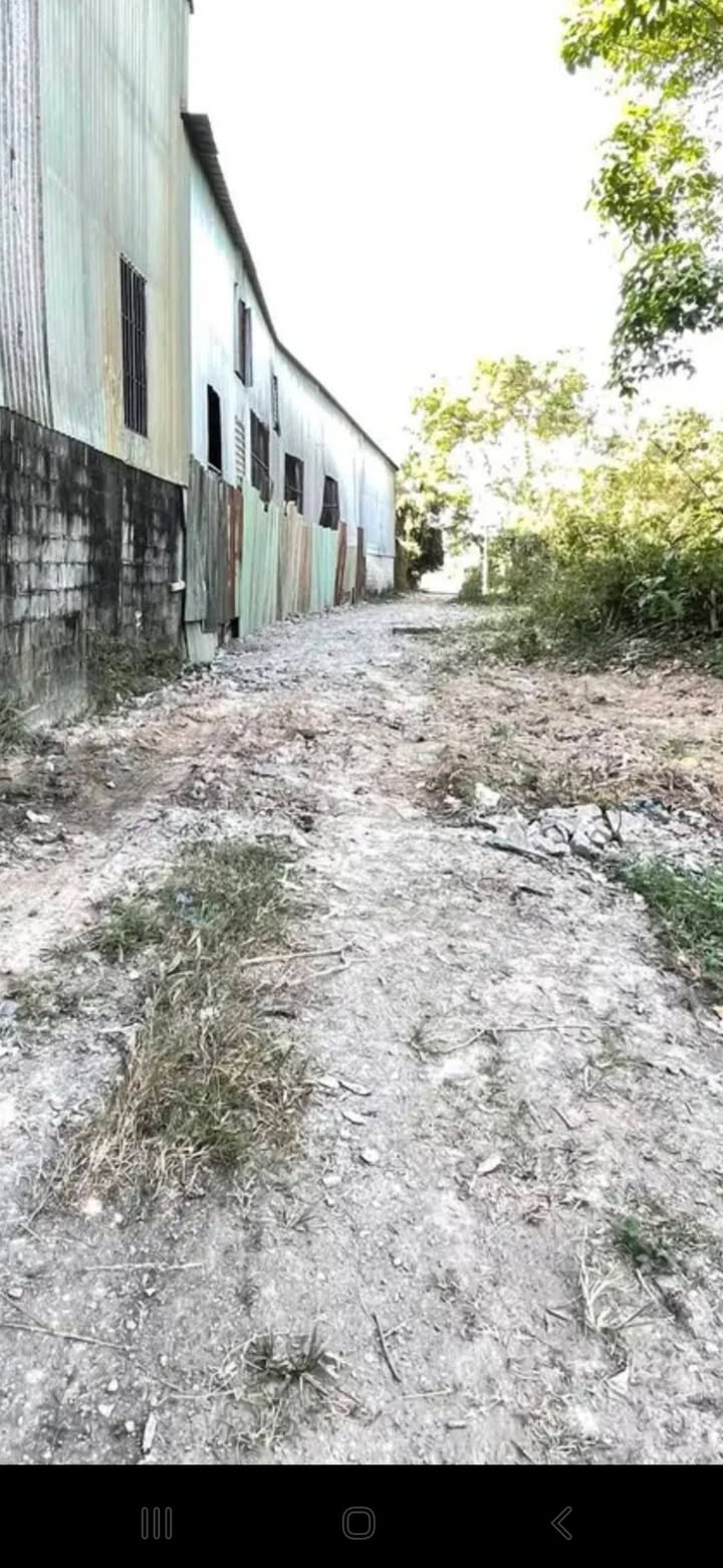 Đất nền Bến Cát 105m² giá 9xx triệu - Sổ đỏ sẵn đầu tư ngay!