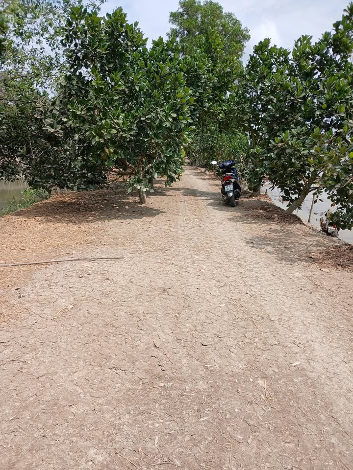 Đất Vườn 15.000m² Mặt Tiền Kênh Lớn, Đồng Tháp - Giá Đầu Tư 3.97 Tỷ