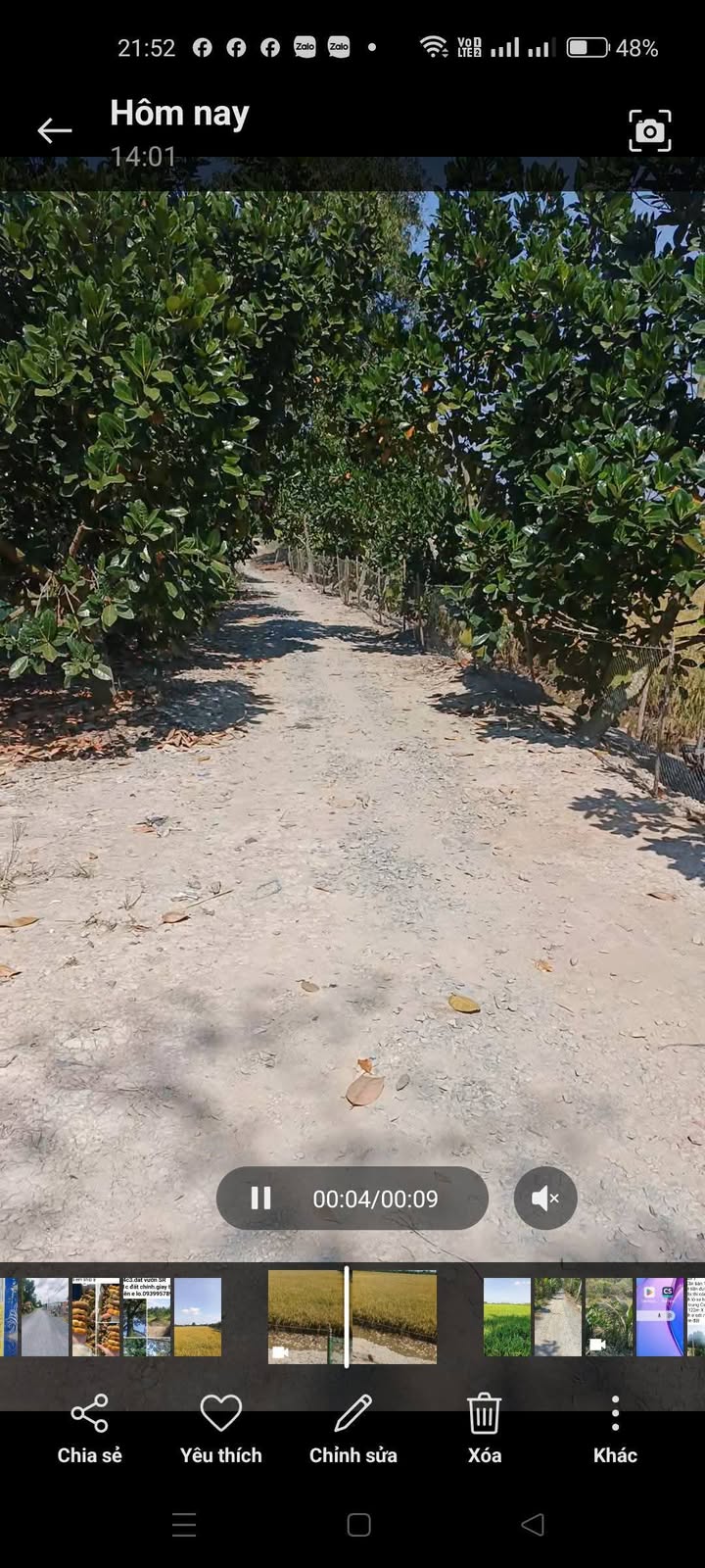 Đất Ruộng Tháp Mười 14.800m² - 4 Tỷ - Vị Trí Đẹp Đầu Tư Sinh Lời!