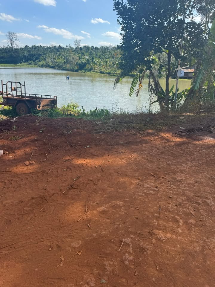 Bán Gấp 10800m² Đất Đỏ Eapok, Cư M'gar - Sầu Riêng Riêng Thắng Lớn