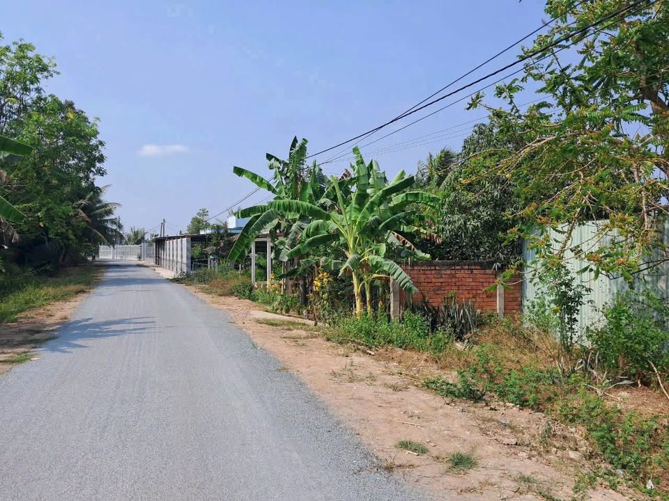 Đất nền Phước Hậu, Long Hồ 1495m² - Đường to ô tô, tiềm năng lớn!