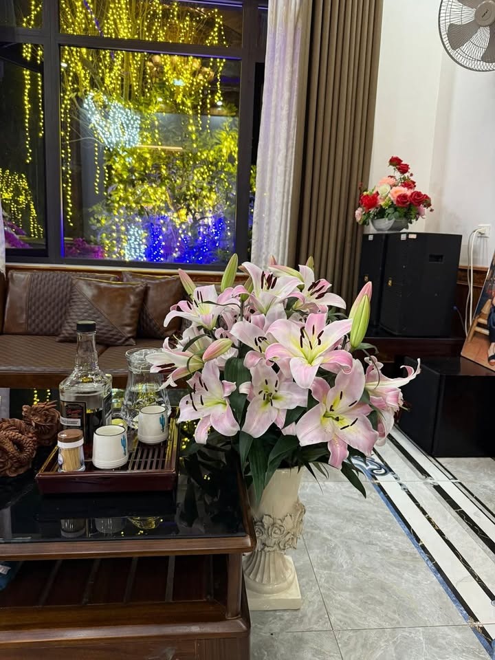 Đất Nền Nghi Lộc 5000m² - Sổ Đỏ Rõ Ràng, Giá Đầu Tư 399 Triệu