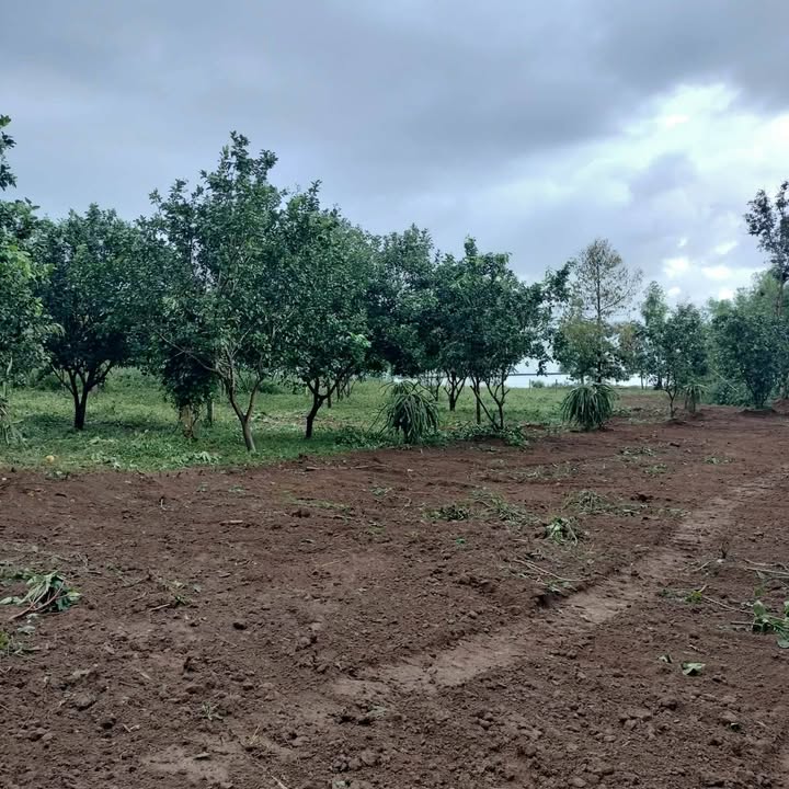 Đất nền view hồ Buôn Thung, Sông Hinh 640m² - Sổ hồng sẵn, giá 5 tỷ