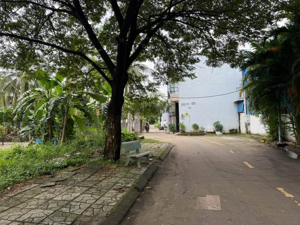 Đất nền Thạnh Xuân 52 Quận 12 99m² giá 3.4 tỷ - Sổ đỏ chính chủ