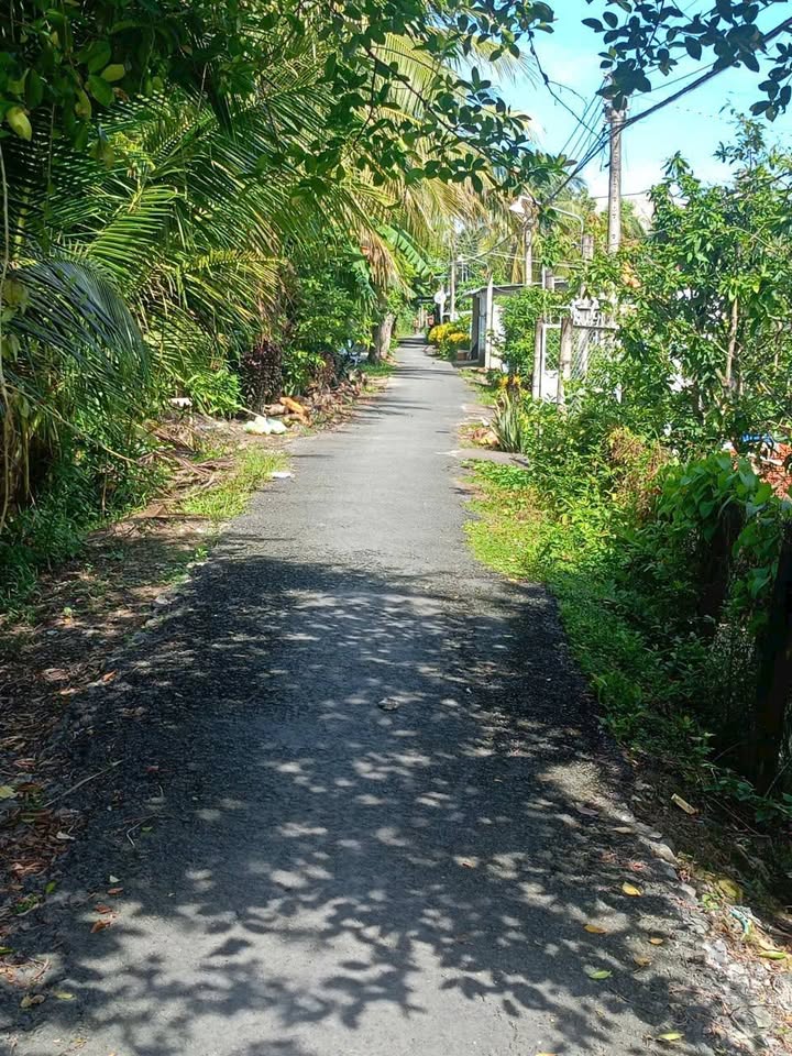 Đất nền Long Hồ Vĩnh Long 583m² - Vị trí đẹp, Đầu tư sinh lời!