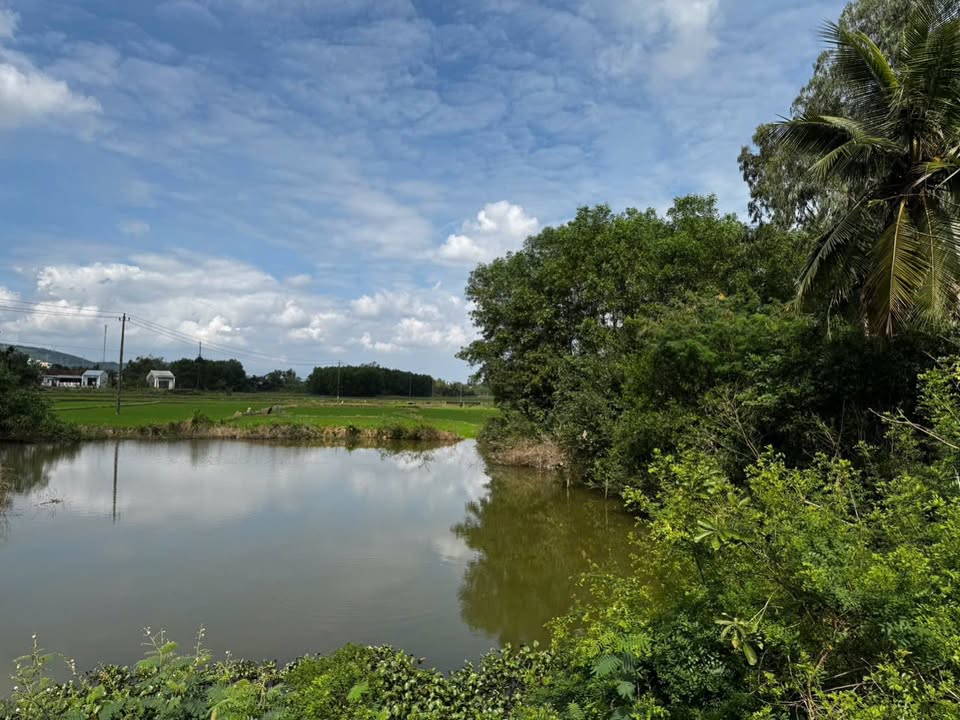 Đất Nền Đại Hiệp 170m² - Sổ Hồng Sẵn - Gần Chợ, Trường, UBND