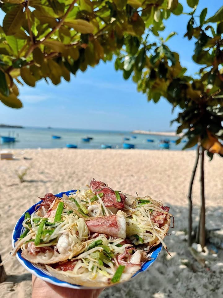 Đất Nền Ninh Thuận 242m² Sổ Đỏ - Sát Biển Mỹ Tân, Giá 1.59 Tỷ