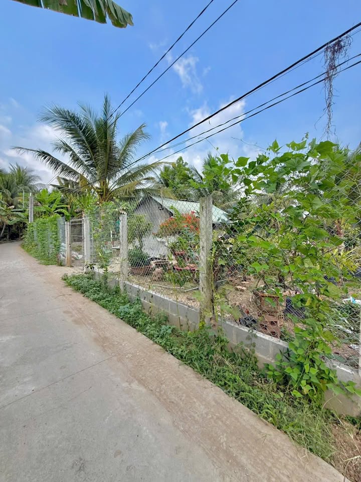 Đất Vườn 2000m² Phước Thạnh – View Sông Đẹp, Giá 4 Tỷ/Sổ