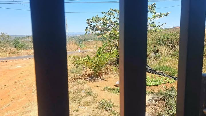 Nhà Mặt Tiền Quốc Lộ Gia Nghĩa 78m² - Kinh Doanh Đắc Lợi