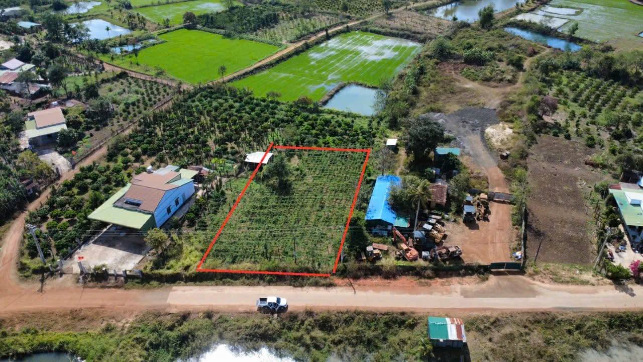 Đất Vàng Ea Kmut 310m² - Mặt Tiền Trục 33m, Sổ Đỏ Riêng