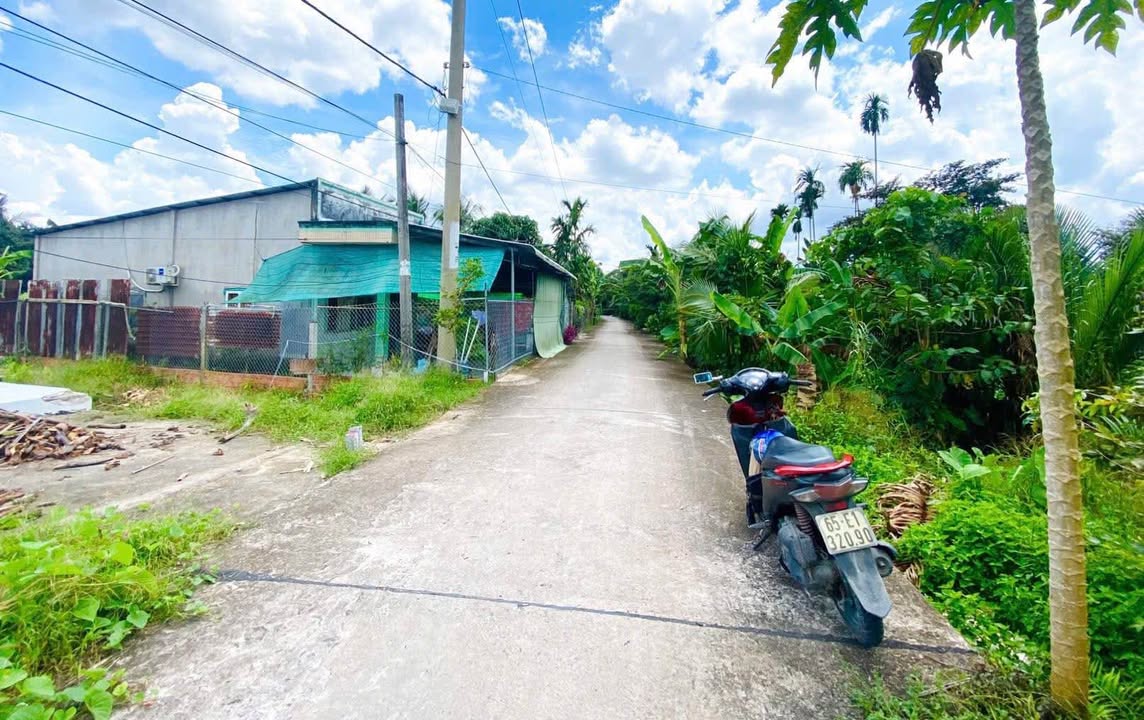 Đất nền Phong Điền Cần Thơ 81.2m² - Sổ hồng sẵn, giá 460 triệu