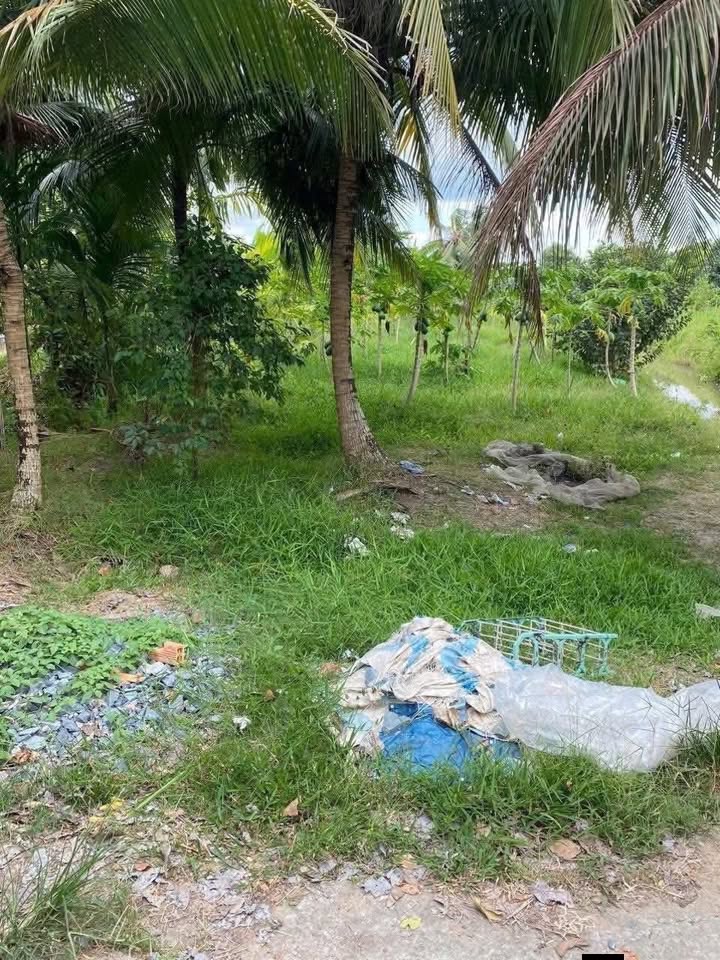 Đất Vườn Nhơn Nghĩa Phong Điền 1000m² 1.2 Tỷ - Tiềm Năng Tăng Giá Cao!