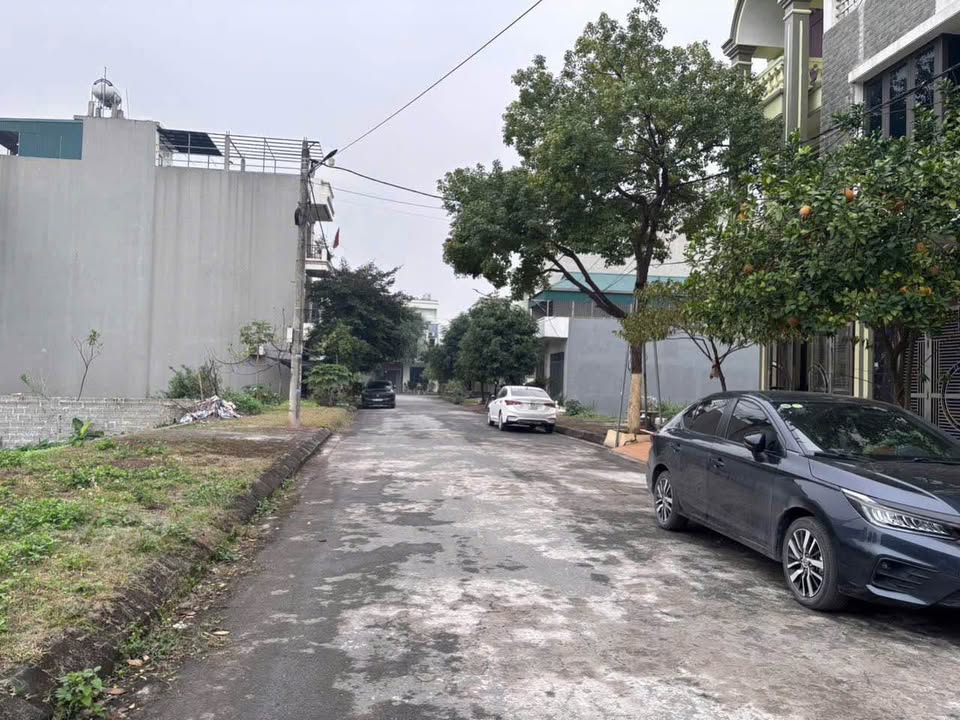 Đất nền Phủ Lý - Liền kề Việt Đức, 75m²/lô, Giá từ 4 tỷ