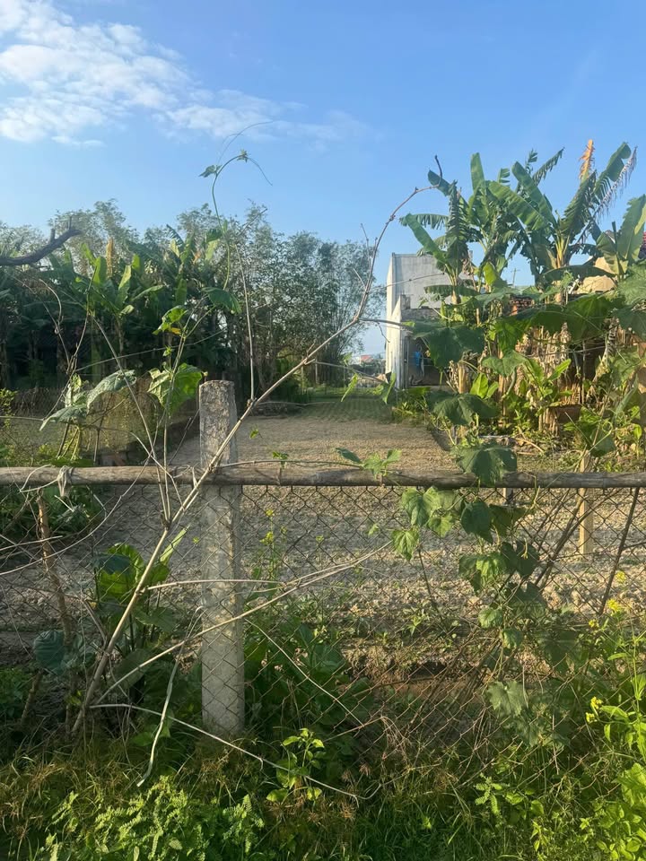 Đất Nền Điện Ngọc 103m² - Sổ Hồng Sẵn, Giá 1.85 Tỷ