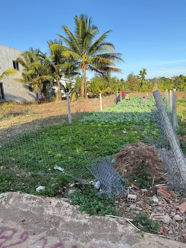 Đất nền Ea Huar, Buôn Đôn 110m² chỉ 1.29 tỷ - Đất thổ cư 100%