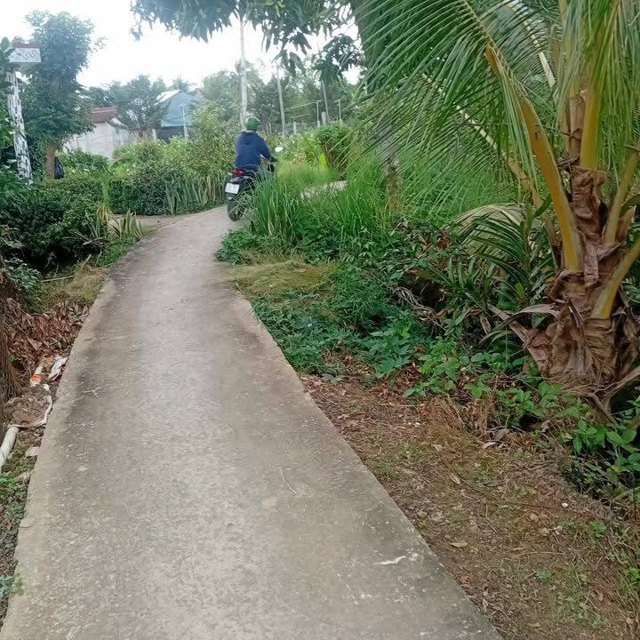 Đất Vườn Chính Chủ 4850m² Mặt Tiền Sông - Xã An Hữu, Cái Bè