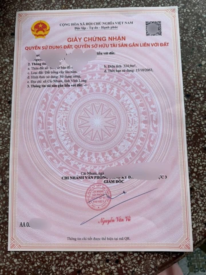 Đất nền Mang Thít Vĩnh Long 557m² - Mặt tiền nhựa giá tốt