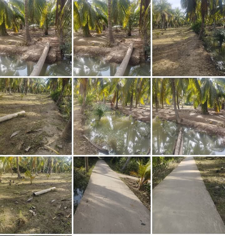 Đất Vườn 3600m² Mặt Tiền 138m Xã Định Thủy, Bến Tre - Giá Đầu Tư 650 Triệu