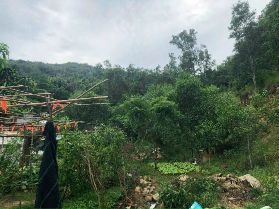 Đất nền Vũng Tàu 7.800m² đường Trần Phú - Sổ đỏ chính chủ