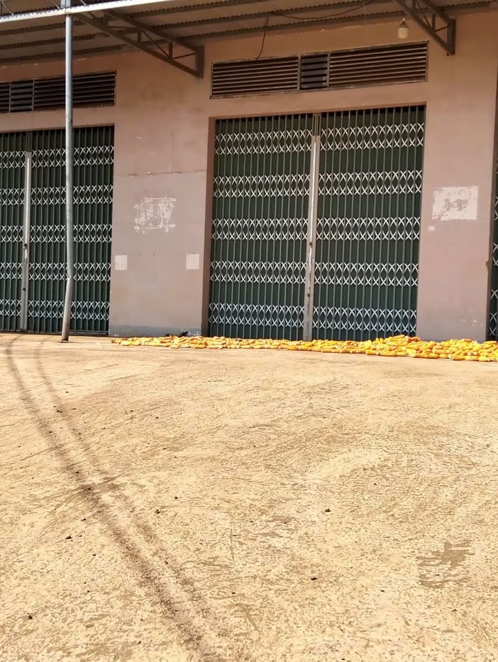 Đất nền Di Linh 1020m² giá 6 tỷ - Mặt tiền kinh doanh sầm uất!