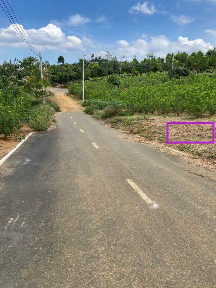 Đất nền Lộc An Bảo Lâm 135m² giá 550 triệu - Sổ hồng chính chủ!