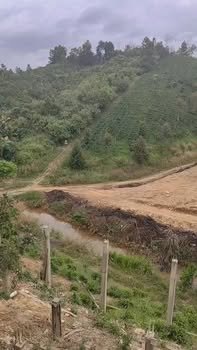 Bán đất vườn Lâm Hà 1.5ha giá 190 triệu/sào - View suối cực phẩm!