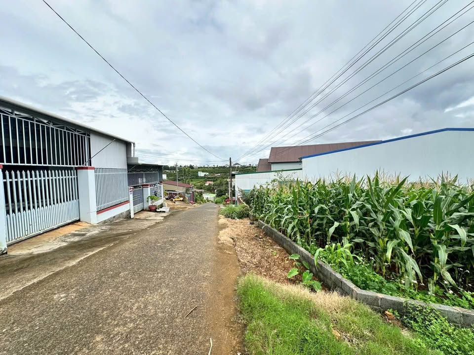 Đất Vàng Bảo Lộc - 560m² Mặt Tiền Hẻm Lý Thái Tổ, 2.9 Tỷ