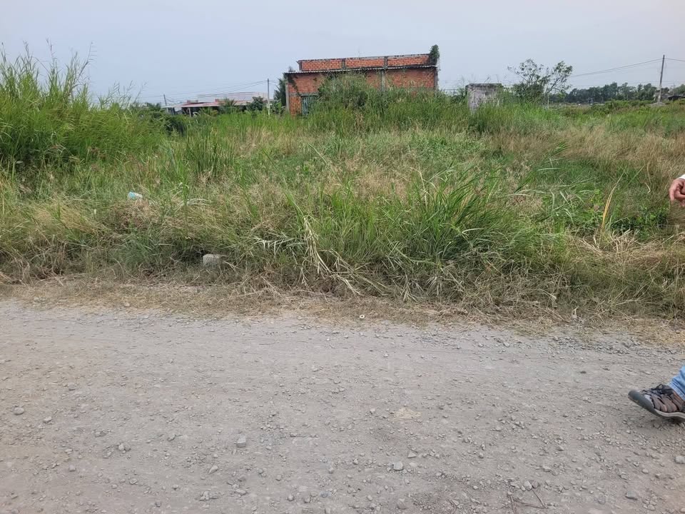 Đất thổ cư Cần Đước 104m² mặt tiền đường xe hơi - Giá 450 triệu