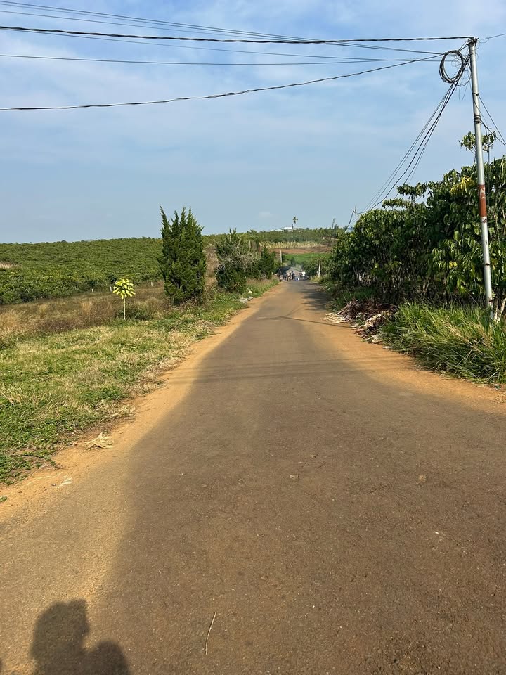 Đất thổ cư 132m² mặt đường 17, Lộc Quảng, Bảo Lâm - Giá 1.05 tỷ