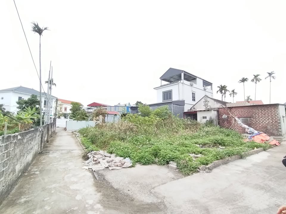 Đất nền Lập Lễ, Thủy Nguyên 64m² - Ngõ ô tô, tiềm năng tăng giá!