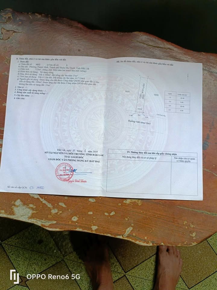 Đất nền Triệu Quang Phục BMT 125m² giá 1.85 tỷ - Đất thổ cư 100%!