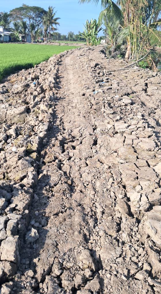 Đất nền Vĩnh Thành, Châu Thành 1000m² - Tiềm năng tăng giá!