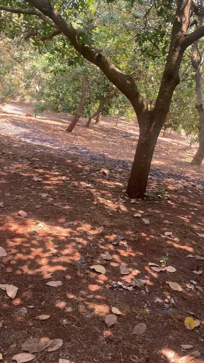 Bán Đất Vườn 2ha Đồng Nai - Sổ Hồng Sẵn Sàng - Giá Đầu Tư 3.2 Tỷ