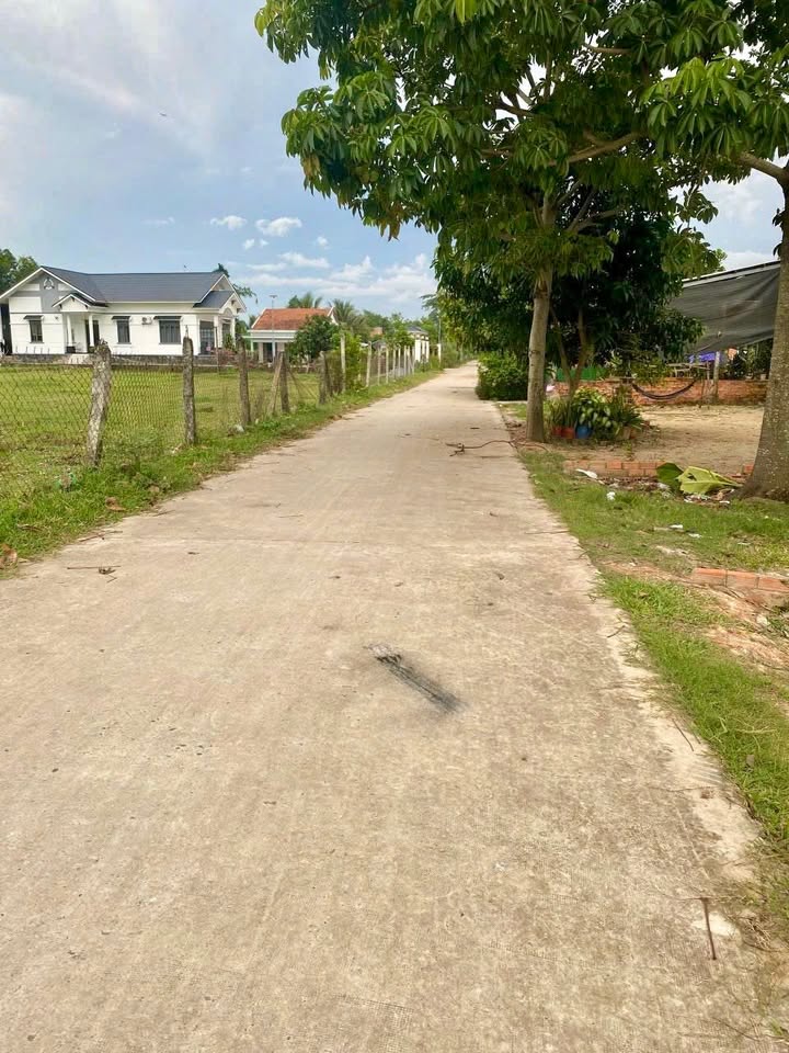 Đất nền Mỹ Hạnh Nam Đức Hòa 145m² 1.4 tỷ - Sổ đỏ chính chủ!