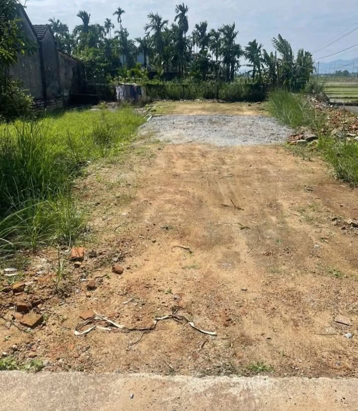 Mặt Tiền An Hà 1, Tư Nghĩa - 140m² Kinh Doanh Đắc Lợi, Hướng Bắc Giá Tốt