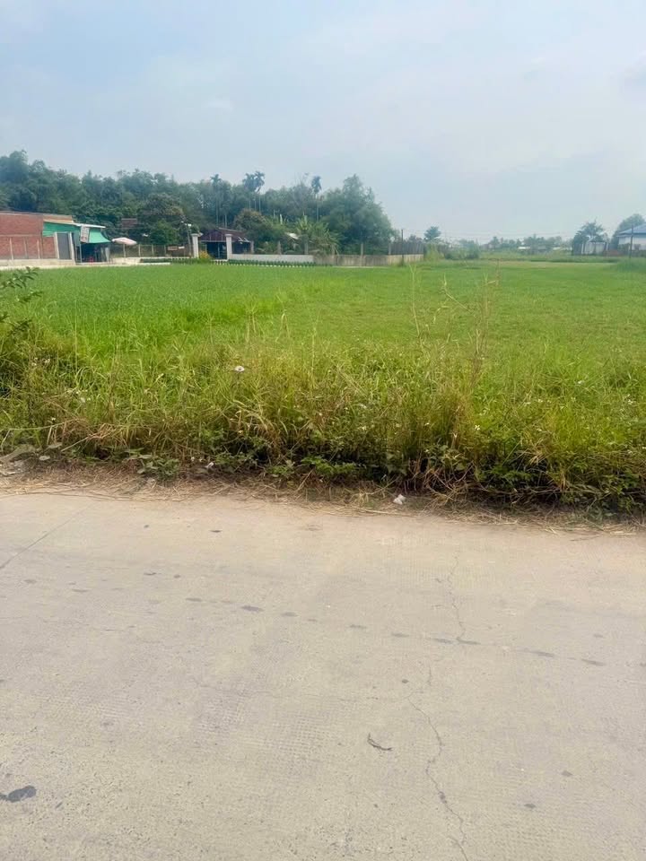 Đất nền Đức Lập Hạ, Đức Hòa 550m² - Sổ hồng riêng, đường thông thoáng