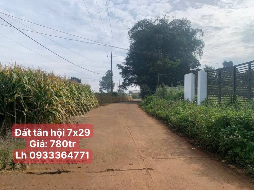 Đất nền Tân Hội, Đức Trọng 203m² giá 780 triệu - Tiềm năng tăng giá!