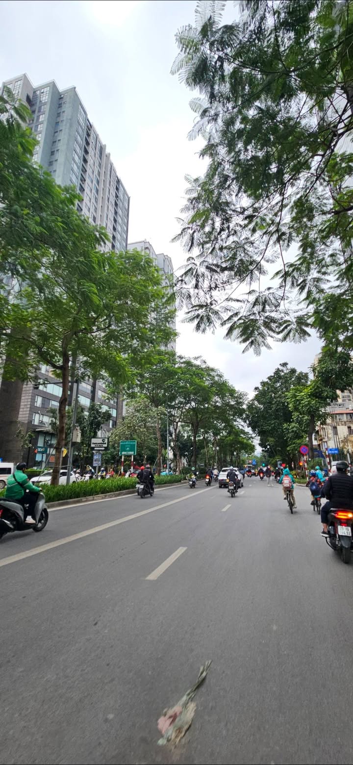 Bán nhà Giảng Võ Ba Đình 60m² - Vị trí đắc địa kinh doanh ngay!