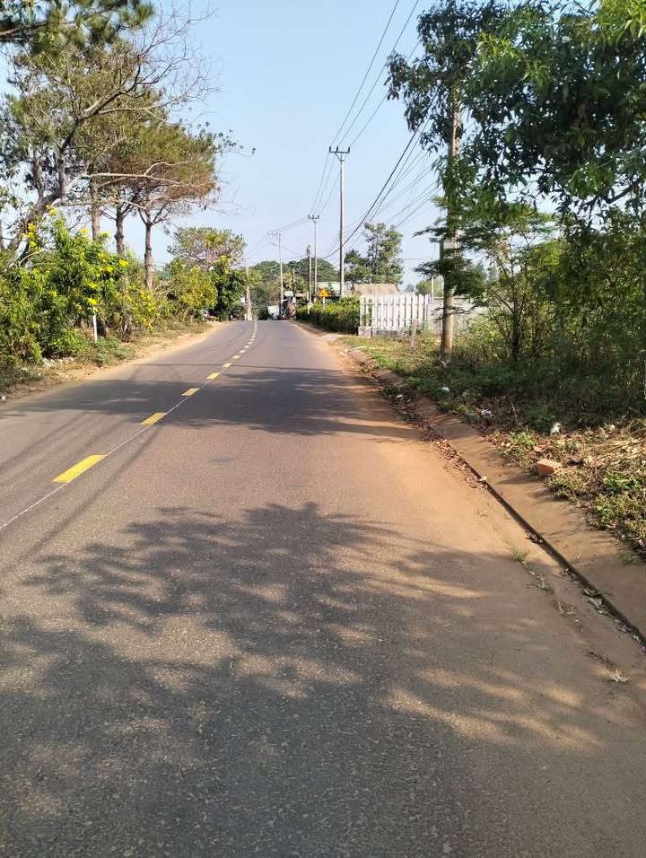 Đất Bùi Dự Pleiku 300m² giá 4.05 tỷ - Sổ đỏ chính chủ