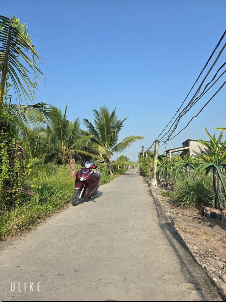 Đất thổ mặt tiền Bờ Sen, Châu Thành, Long An - 120m² giá 430 triệu