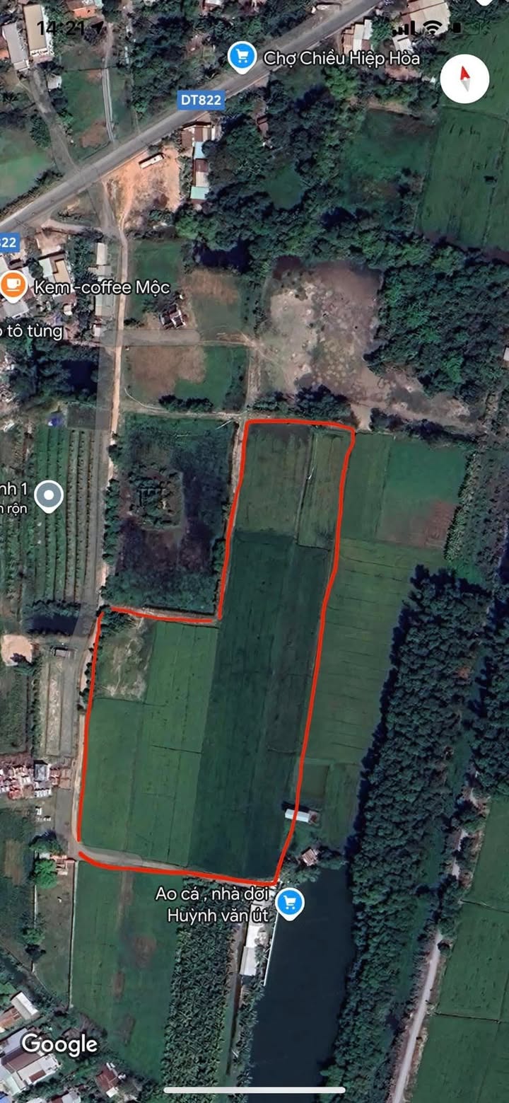 Bán Gấp Farm 15.000m² Hiệp Hòa, Long An - Sổ Hồng Sẵn Sàng