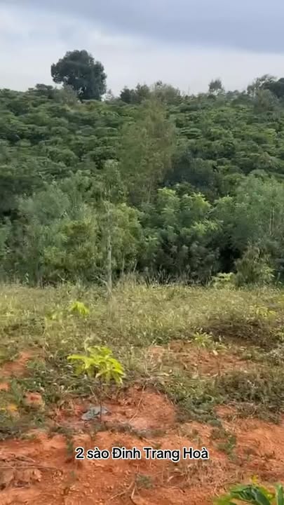 Đất Nền Di Linh 720m² - Sổ Đỏ Chính Chủ, Giá 900 Triệu